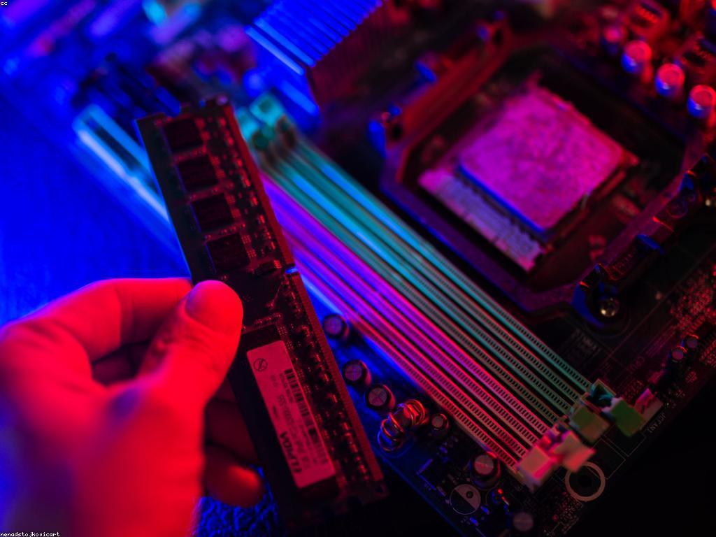 ស៊ីវិល័យនៃកាស៊ីណូ: ការស្រាវជ្រាវនិងការយល់ដឹង